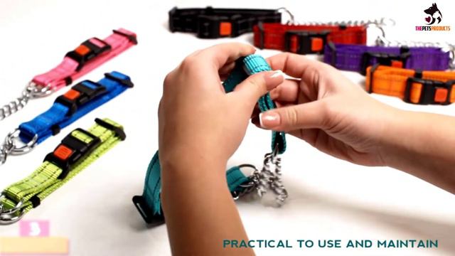 ✅Top 5 Best Martingale Dog Collars in 2022 смотреть онлайн
