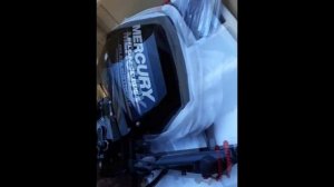 Mercury 20efi распаковка