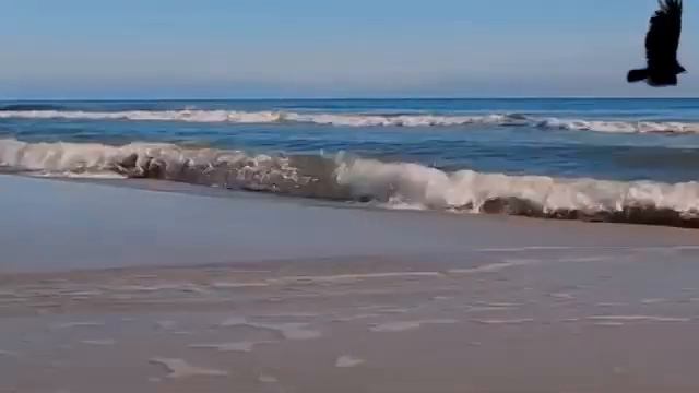 С красных губ смотреть онлайн