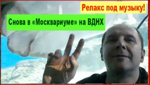 Релакс под музыку! Снова в «Москвариуме» на ВДНХ