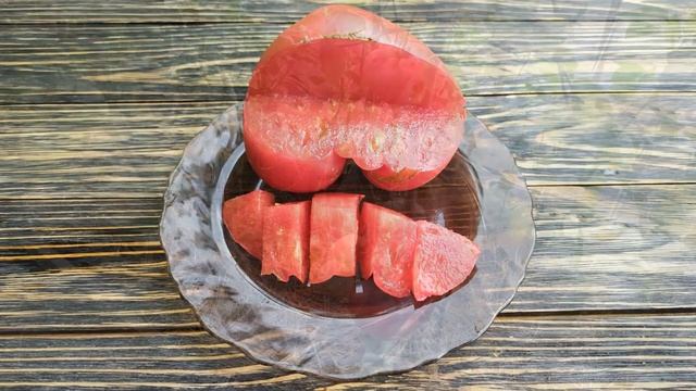 Обзор сорта томата урожая 2020 - Голубой горный хребет смотреть онлайн