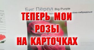 Розы на карточках.mp4