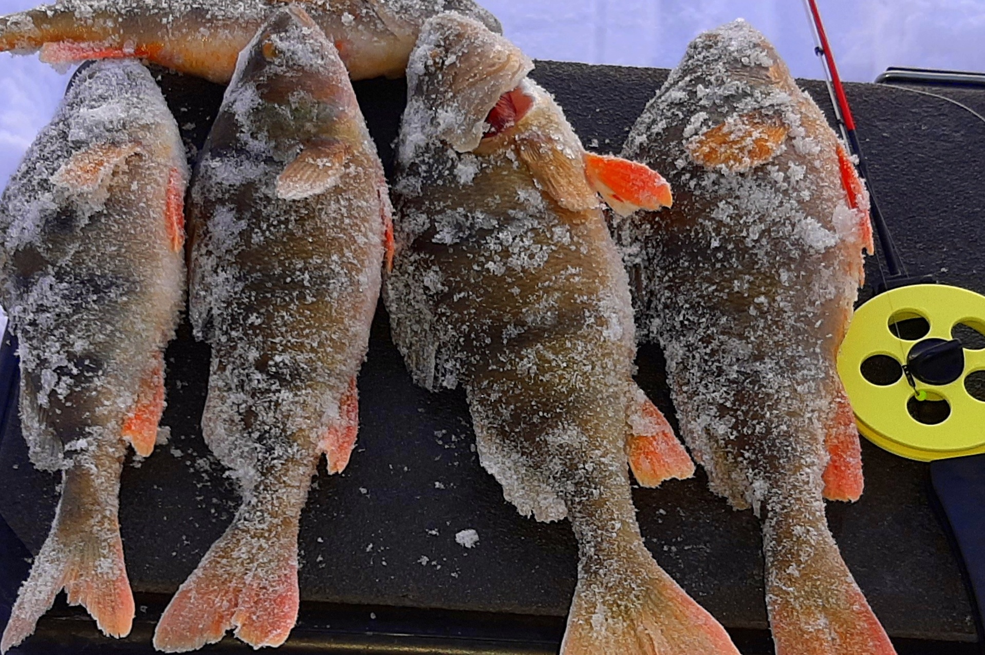 БАЛАНСИР VS БЕЗМОТЫЛКА ! Рыбалка на щучьем озере. смотреть онлайн