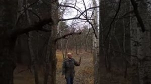 Владимир Асмолов "Осень жизни"