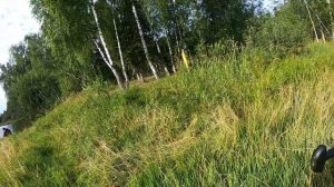 Ловля щуки в траве на воблера. Влияет ли полнолуние на клев щуки?