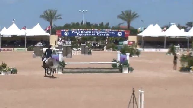 6141, CAPICE B.S. 82, $15000 Adequan 6 YO Jumper Classic смотреть онлайн