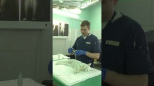 Обработка швов