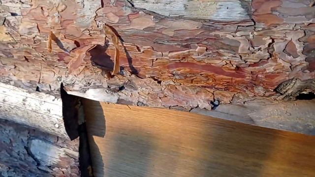 В деревне каждый день - сурка.