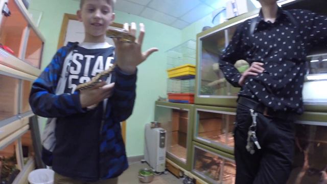 Терраріумістика Івано-Франківськ. Дитяча екологічна станція.