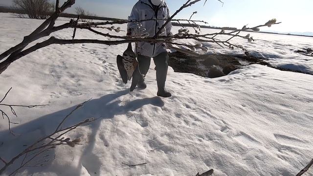 Охота на гуся 2022! Камчатка Часть 2 смотреть онлайн