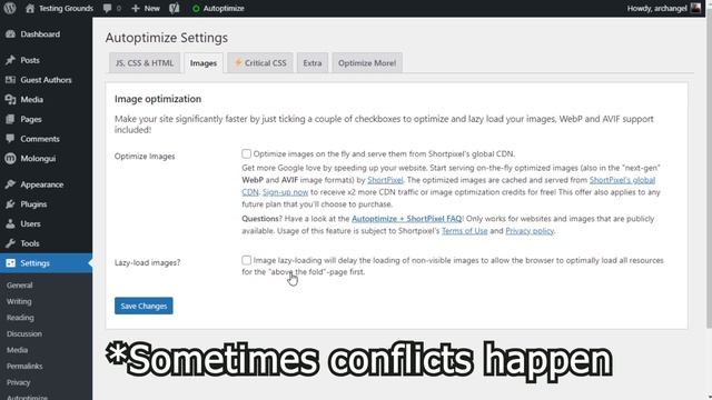 How I Fixed the Cumulative Layout Shift (CLS) in WordPress with Autoptimize