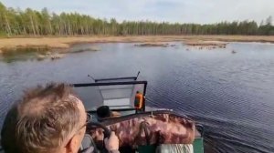 Вездеход Тунгус 72 Югорск