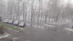 11 мая 2024 года_123514 с. Молочное
