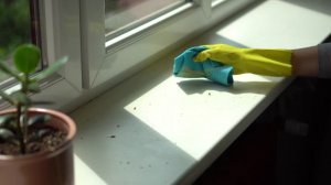 8 эффективных способов отмыть пластиковый подоконник и окна