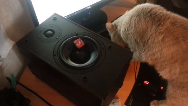 Гена и колонки смотреть онлайн