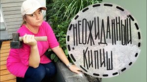 Секреты пересадкиЗавышенная клумба Расстояние между растениями Кто я по профессии?
