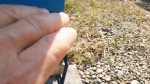 Как безопасно для пчёл определить заклещёванность в пчело семье.