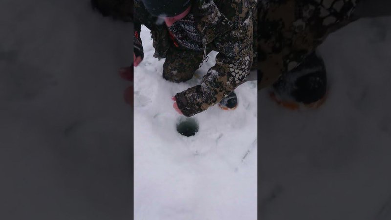 Большая паста