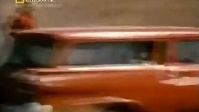 Медведь в бешенстве! смотреть онлайн