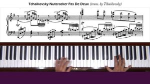 Tchaikovsky / Tchaikovsky Nutcracker Ballet Pas de Deux Piano Tutorial
