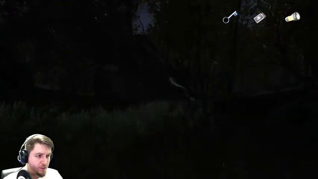 НУДНЫЙ ЛЕС ⏩ The Secret of Pineview Forest ⏩ ПЕРВЫЙ ВЗГЛЯД смотреть онлайн