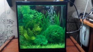 аквариум с искуственными растениями