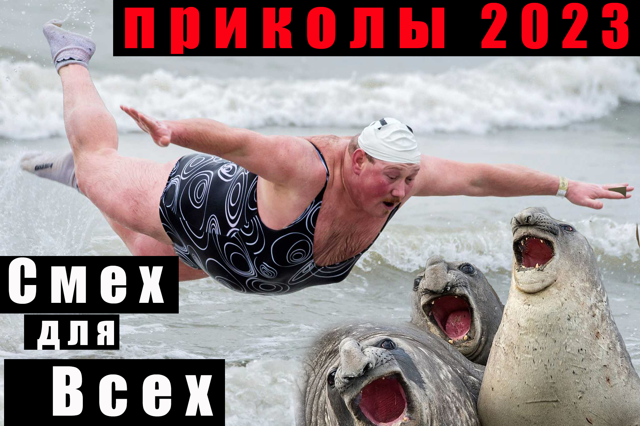 Видео приколы 2023