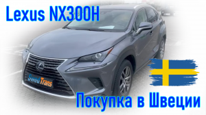 Покупка авто из Швеции. Lexus NX300H  2019 г.в.