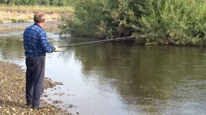 Бомбарда . Есауловка.