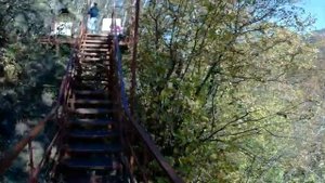 Осенняя закупка грибов в Нижнем Архызе.