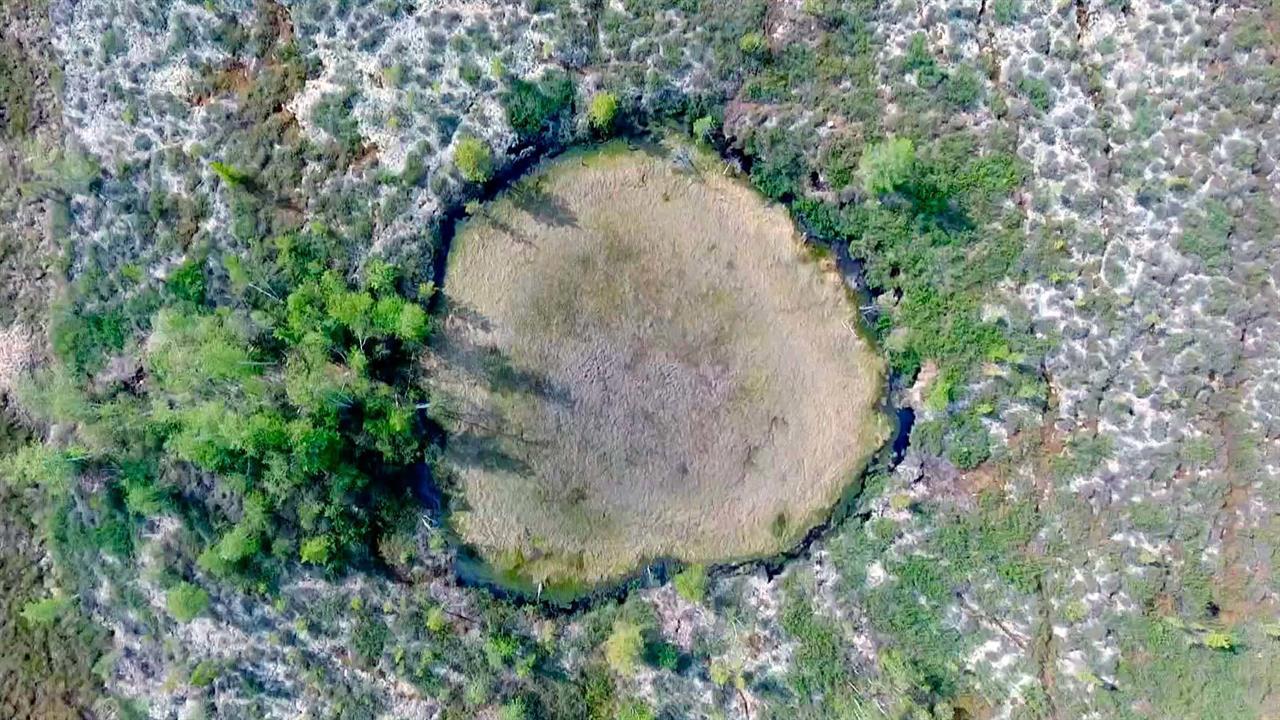 Метеорит тунгусский метеорит фото места падения
