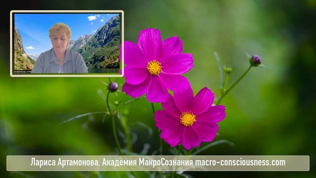 1_3 Светильник Духа и защита дипломов смотреть онлайн