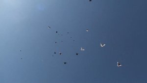 Голуби летающие в небе, говорит о том , что мы живы . Всех с Великим праздником Пасхи .