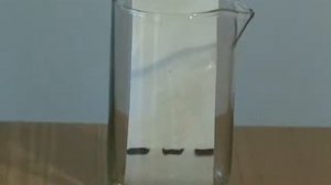 72  Органическая химия  Углеводороды  Хроматография на бумаге  Черный фломастер