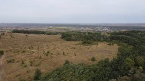 Съемка с дрона кустов и леса. Видео квадрокоптера с высоты птичьего полета над деревьями летом.
