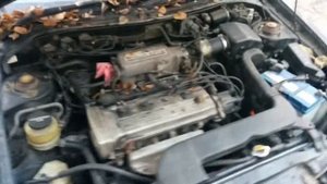 Cynos 1991 завод