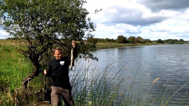 Can fish feel pain? Fishing: pike skinned alive. Живодёры под водой: с живой щуки содрана кожа. смотреть онлайн