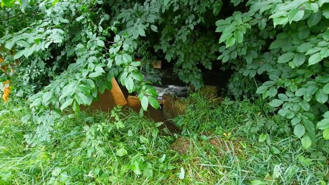 Пруд на даче в Германии- восстановили приток воды. смотреть онлайн