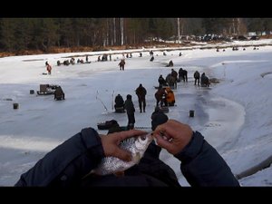 Последний лед на Рыбинском водохранилище на реке Ламь.