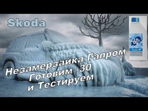 Skoda: Незамерзайка Газпром. Готовим -30 Начало Теста (2024)