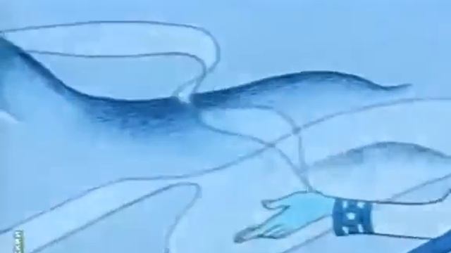 МФ Лапти Метелица Калинка смотреть онлайн