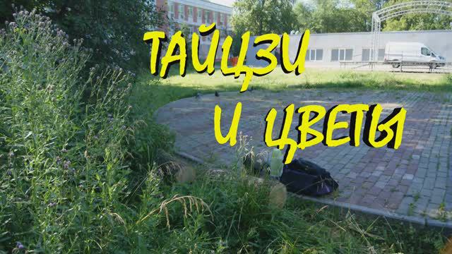 ТАЙЦЗИ И ЦВЕТЫ. 2024