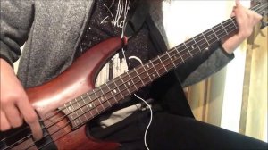 Decapitated - The Negation Bass Cover (+Downloadable Tabs)