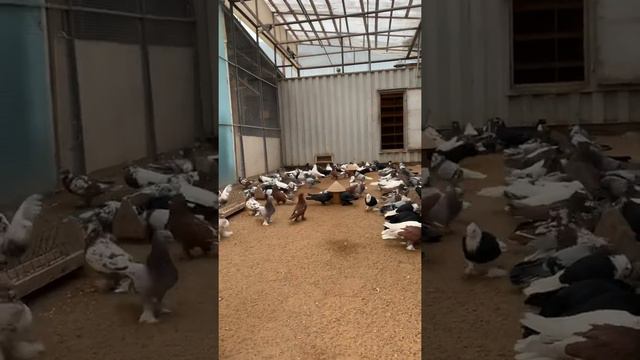 3 марта 2022 г. смотреть онлайн