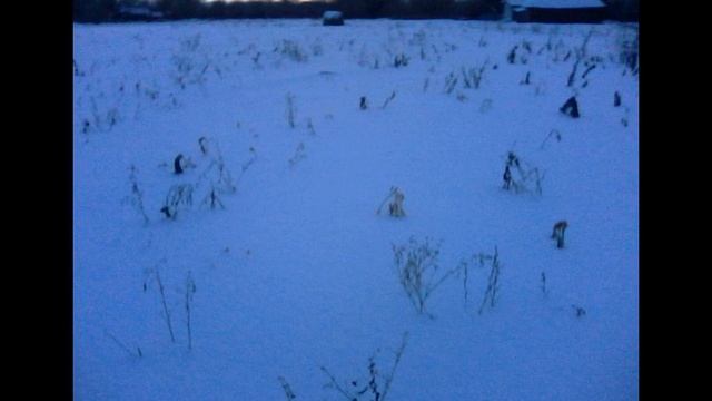 Продам дом село Старое Козьмодемьяновское смотреть онлайн