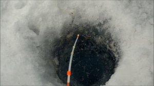 клёвая рыбалка