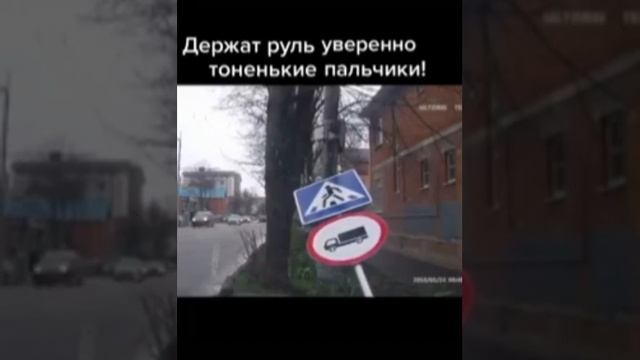 Держат руль уверенно тоненькие пальчики