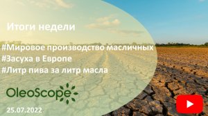 Итоги недели. Мировое производство масличных, засуха в Европе, оплата пива подсолнечным маслом