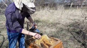 Улей Николая Витвицкого удивляет. Абсолютно противоположный подход к зимовке.