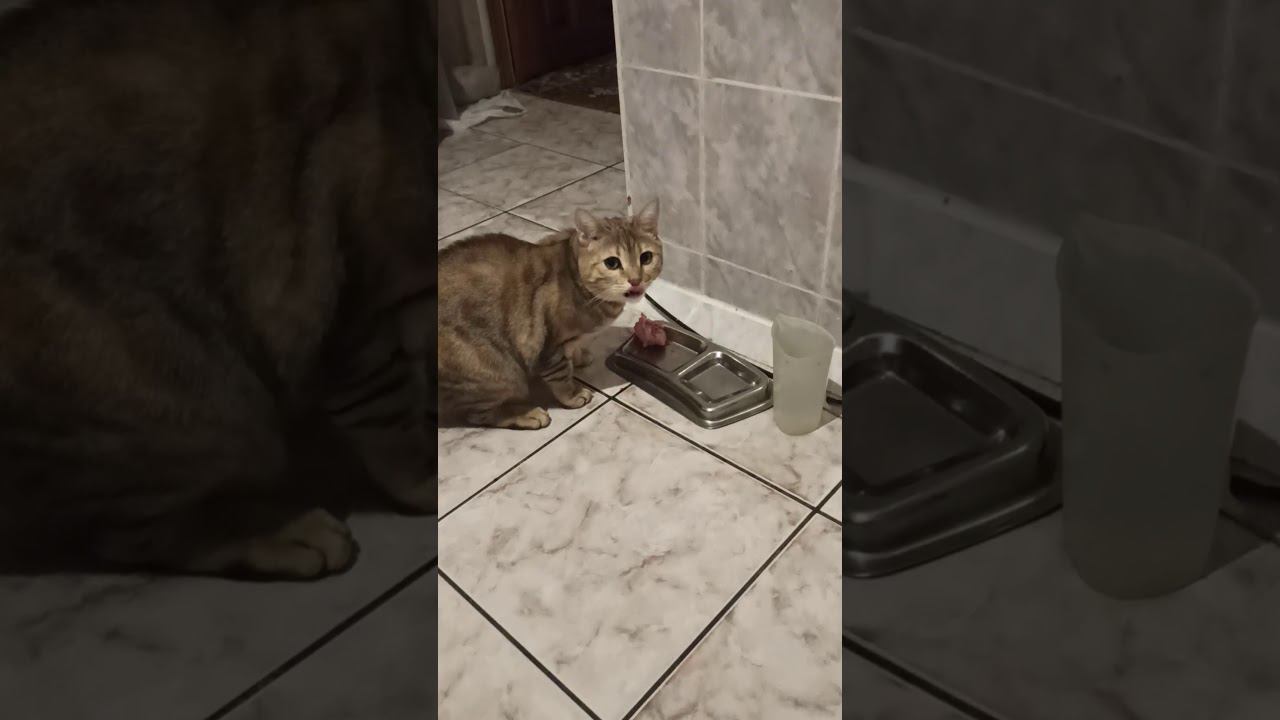 30 января 2021 г. смотреть онлайн